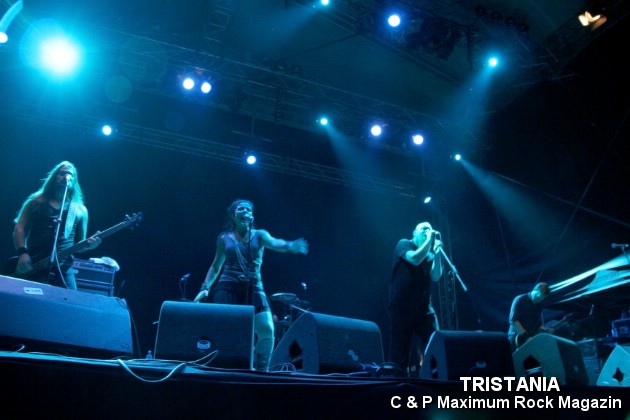 IMG_13128_Tristania