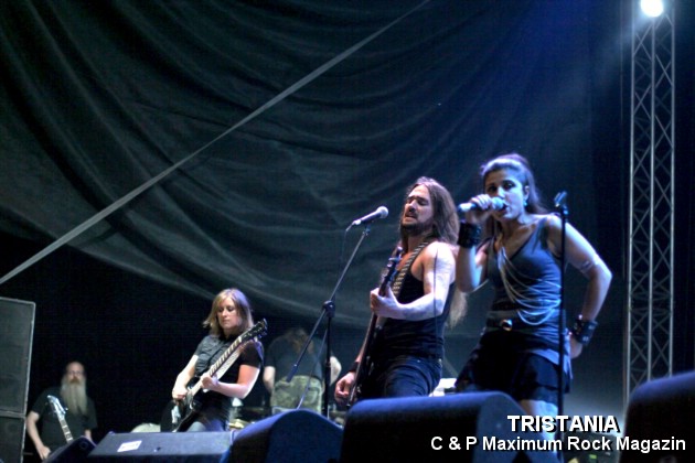 IMG_13151_Tristania