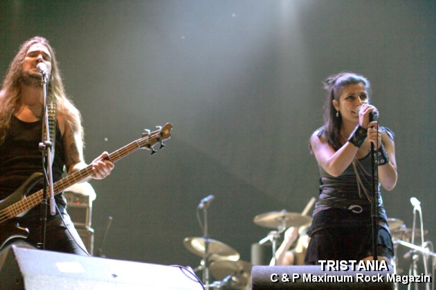 IMG_13173_Tristania