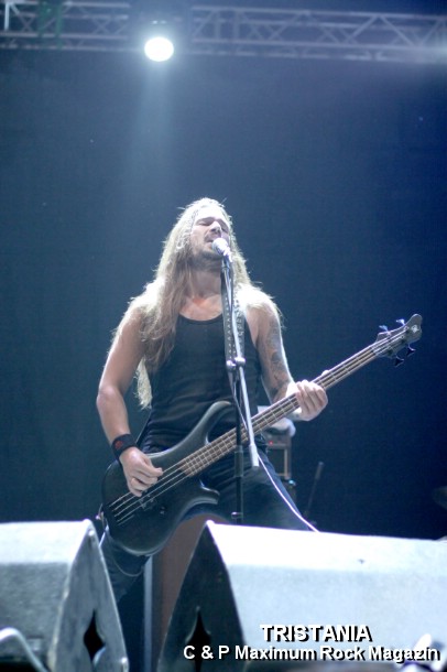 IMG_13179_Tristania