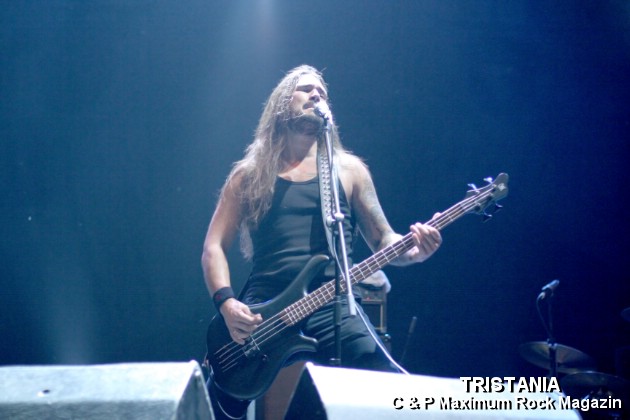 IMG_13181_Tristania