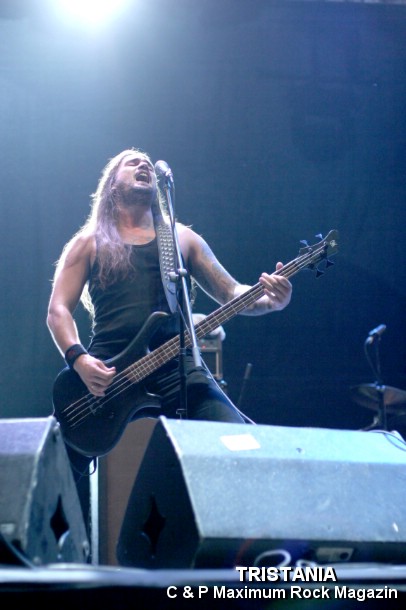 IMG_13193_Tristania