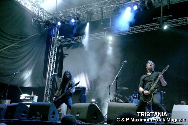IMG_13233_Tristania