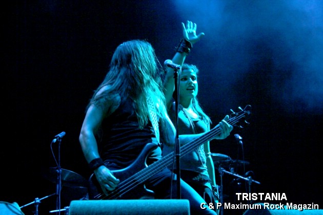 IMG_13274_Tristania