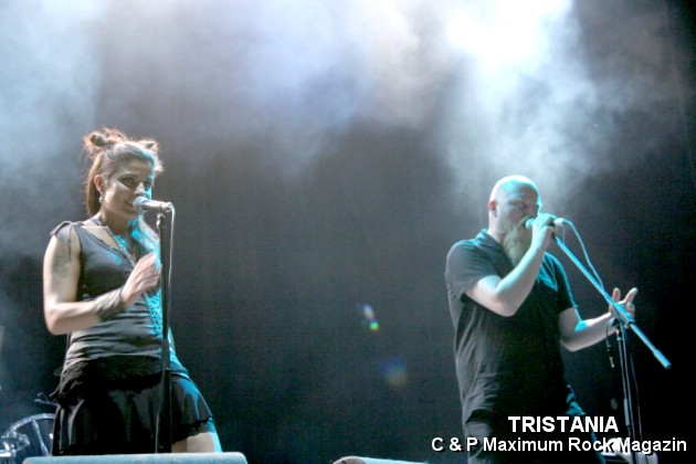 IMG_13291_Tristania