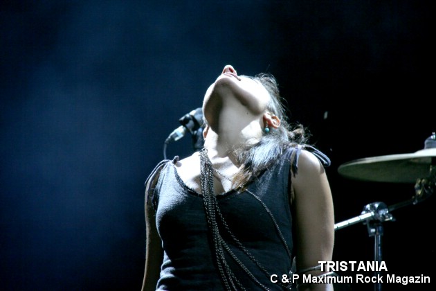 IMG_13314_Tristania