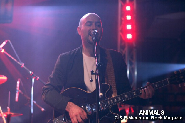 IMG_0619_Animals