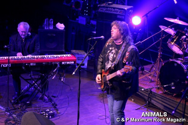 IMG_0734_Animals