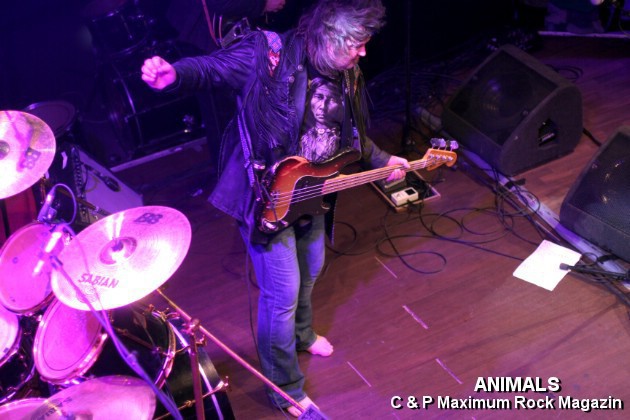 IMG_0822_Animals