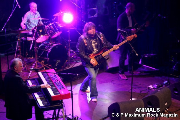 IMG_0823_Animals