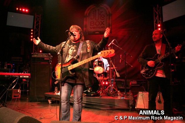 IMG_0853_Animals