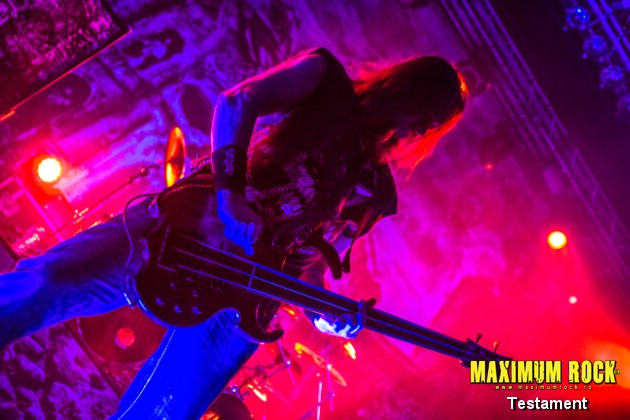 testament IMG_9565