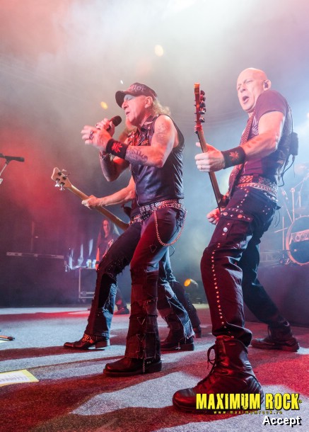 Accept  IMG_4196