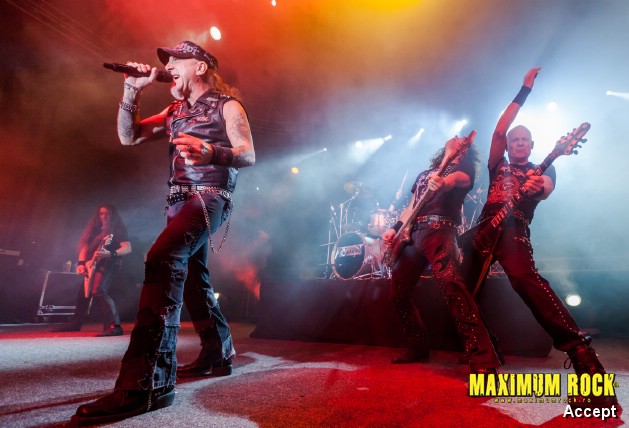 Accept  IMG_4198