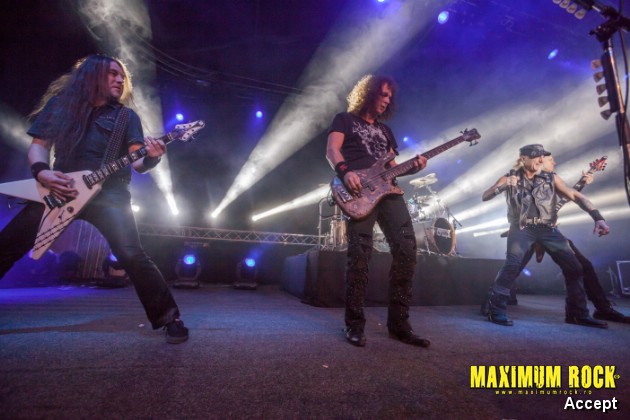 Accept  IMG_4248
