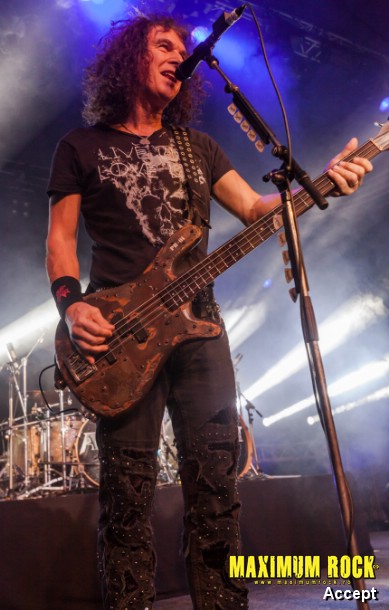 Accept  IMG_4255
