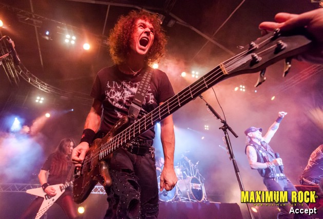 Accept  IMG_4266