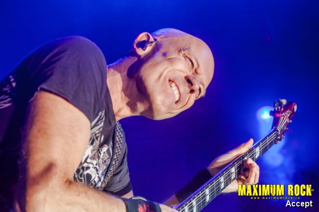 Accept  IMG_4341