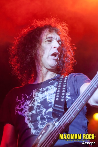Accept  IMG_4349
