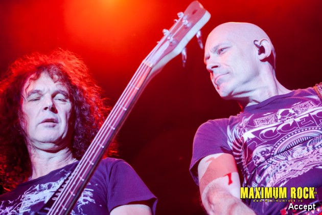 Accept  IMG_4351