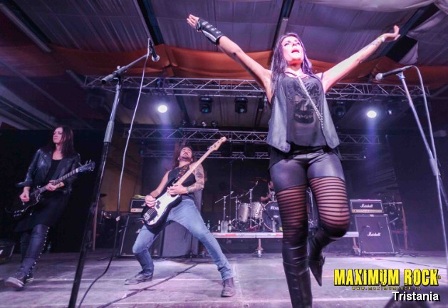 Tristania  IMG_0931