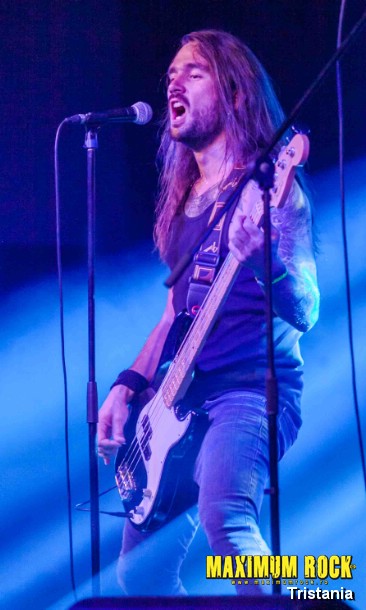 Tristania  IMG_0961