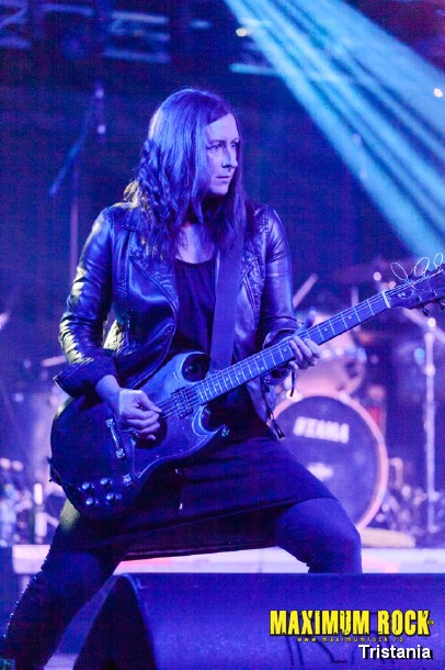 Tristania  IMG_0967