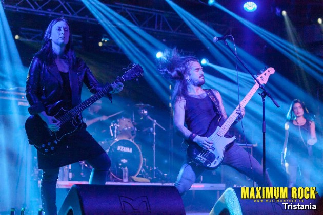 Tristania  IMG_0972