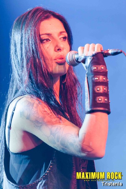 Tristania  IMG_0981