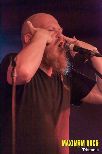 Tristania  IMG_0982