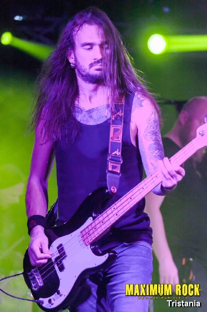 Tristania  IMG_0992