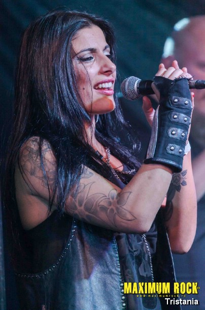Tristania  IMG_1005