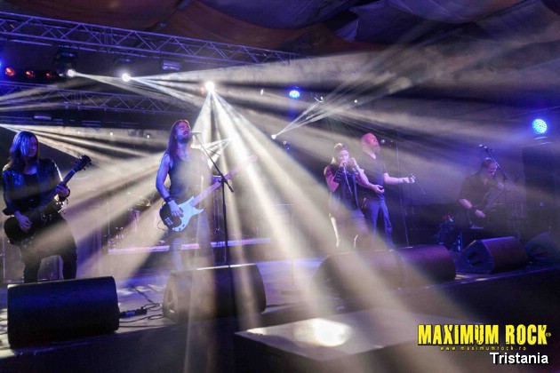 Tristania  IMG_1036
