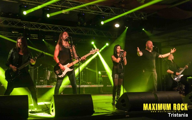 Tristania  IMG_1039