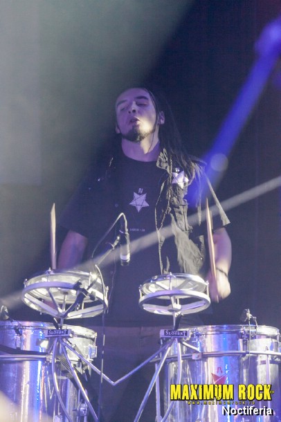 Noctiferia  IMG_1594