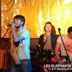 Picture_132_Les_Elephants_Bizare