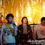 Picture_133_Les_Elephants_Bizare