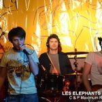 Picture_134_Les_Elephants_Bizare