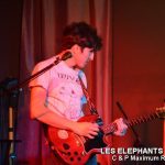 Picture_135_Les_Elephants_Bizare