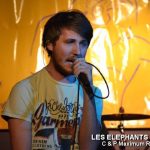 Picture_138_Les_Elephants_Bizare