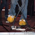 Picture_143_Les_Elephants_Bizare