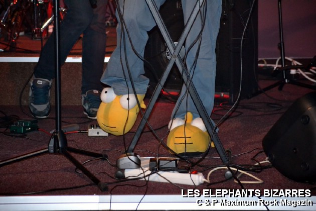 Picture_143_Les_Elephants_Bizare