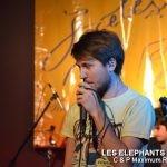 Picture_144_Les_Elephants_Bizare