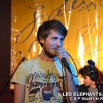 Picture_145_Les_Elephants_Bizare