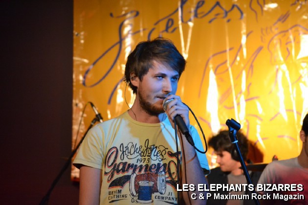 Picture_145_Les_Elephants_Bizare