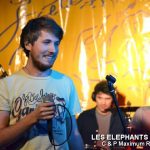 Picture_146_Les_Elephants_Bizare