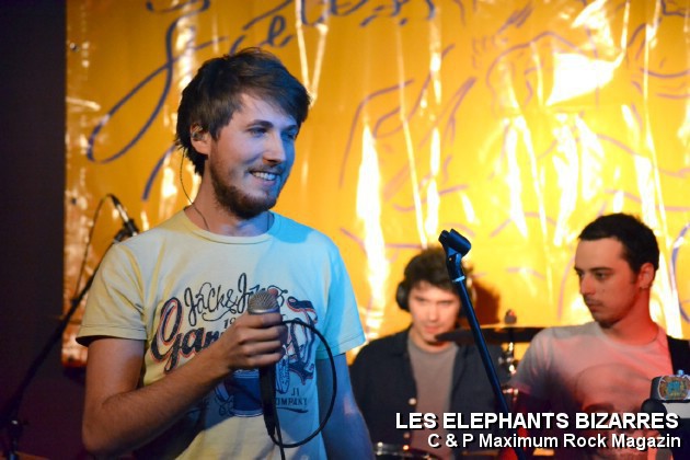 Picture_146_Les_Elephants_Bizare
