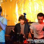 Picture_147_Les_Elephants_Bizare