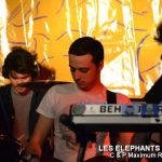 Picture_149_Les_Elephants_Bizare