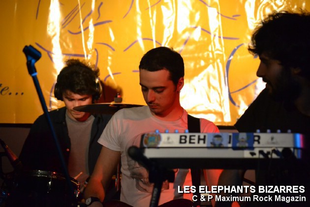Picture_149_Les_Elephants_Bizare